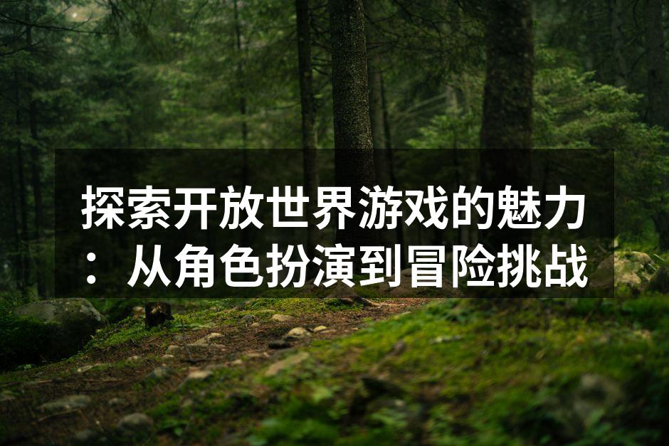 探索开放世界游戏的魅力：从角色扮演到冒险